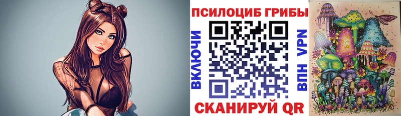 Псилоцибиновые грибы Psilocybe  где купить   Камызяк 